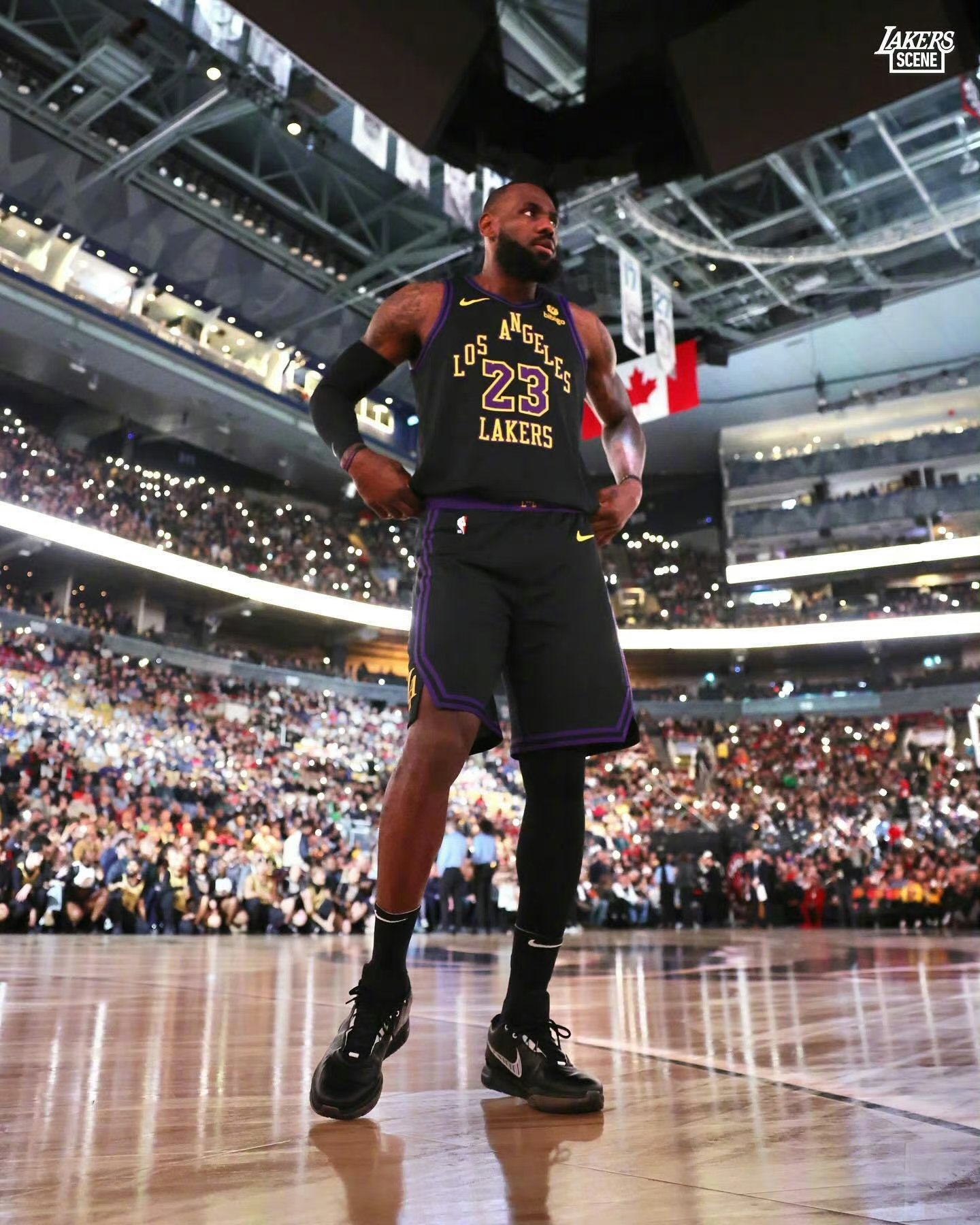 猛龙大胜活塞，追平主场胜利