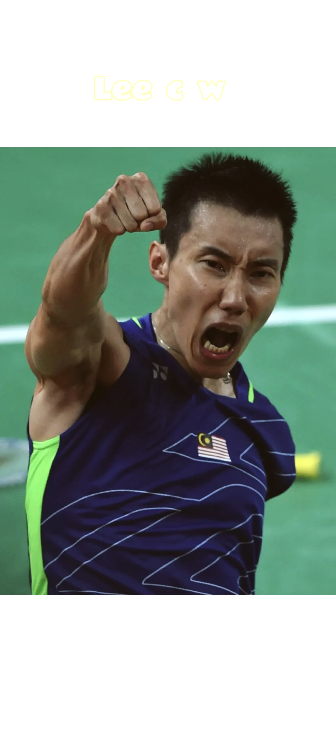 丹麦羽毛球队险胜印尼羽毛球队，李宗伟惊艳世界的简单介绍