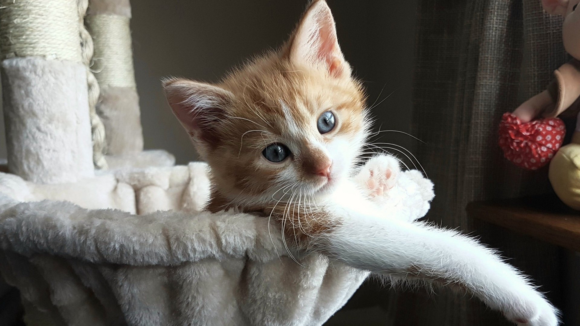 绝杀与突破，萨卡的锋芒与勒沃库森的坚韧哲学