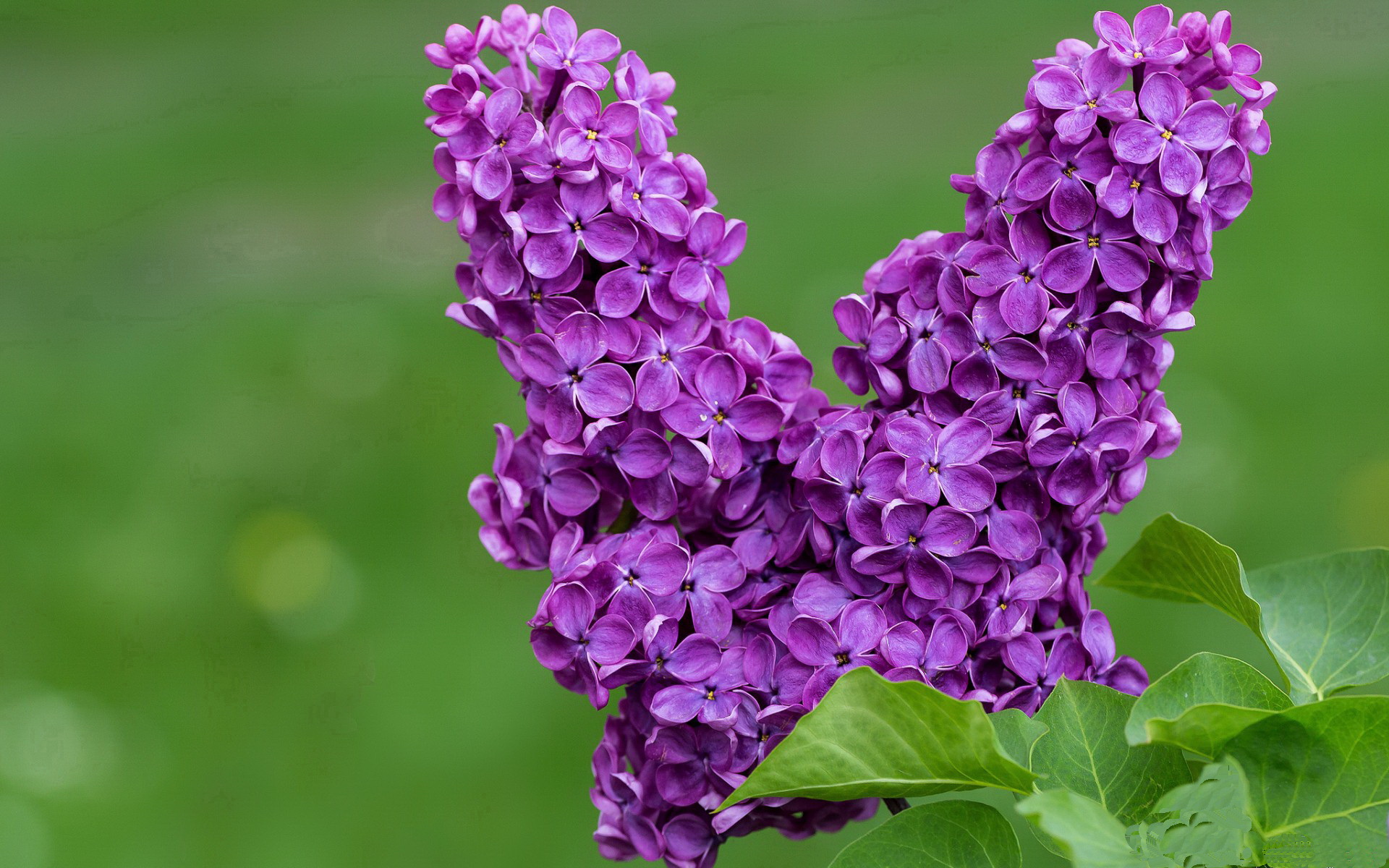 开云体育APP下载-格纳布里爆发击溃多特蒙德，德甲悬念提前终结，英格兰足球的启示