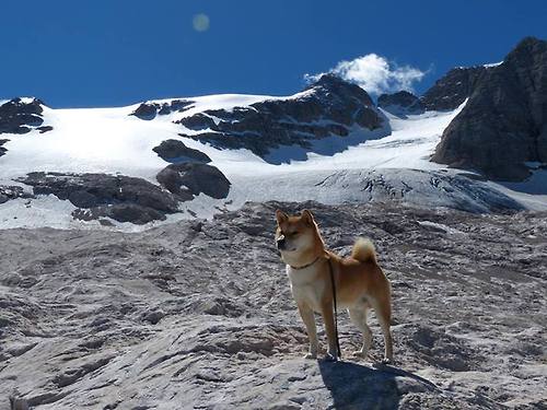姆巴佩一锤定音!巴萨全明星力克尼日利亚硬仗展现实力
