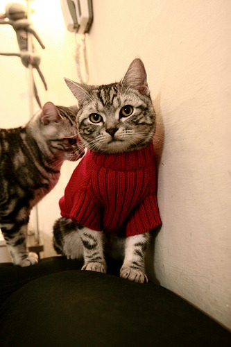 双城记，当西甲德比之夜见证浓眉进攻端的破晓