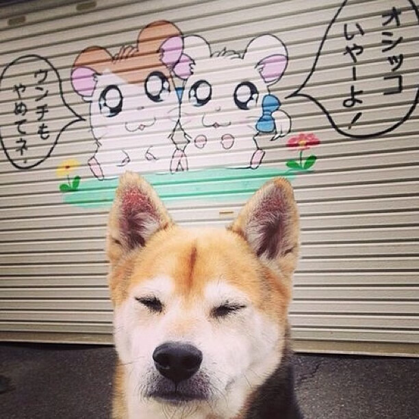 西甲国家德比焦点战，从克罗地亚一波带走希腊看现代足球的战术革命