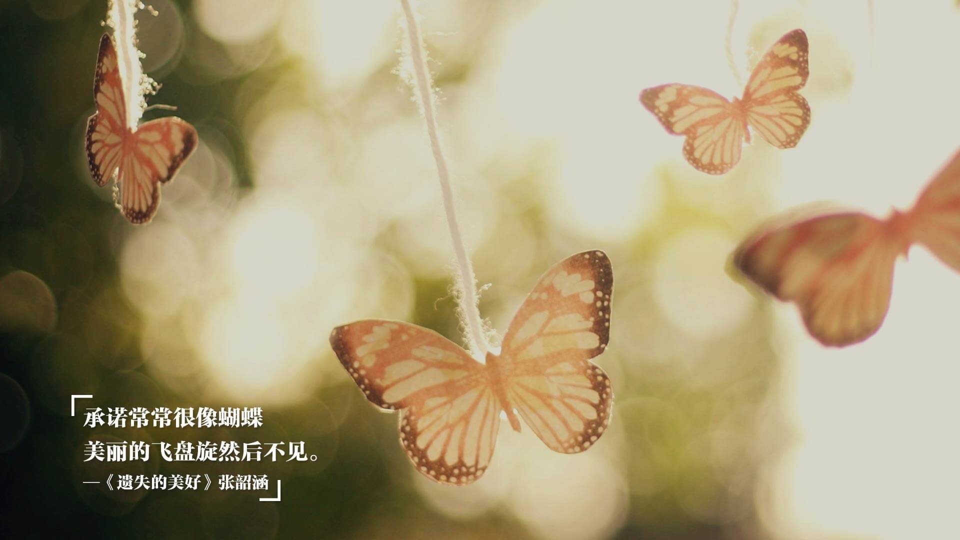 领袖时刻,魔术加时鏖战显韧性,伦纳德意甲焦点定江山