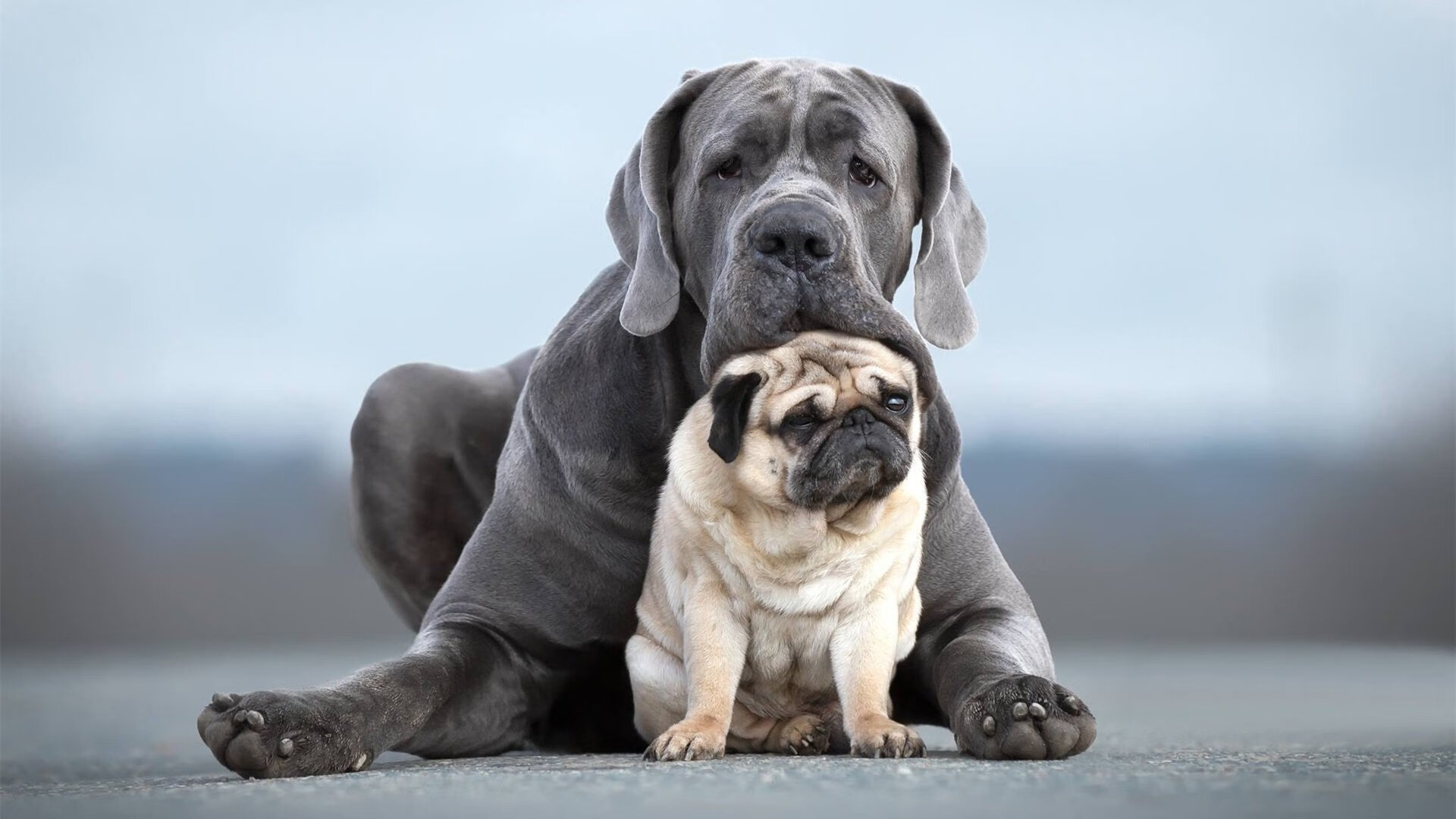 北欧冰刀碾碎基辅之盾，特奥赛后评分拉满，芬兰如何彻底粉碎乌克兰