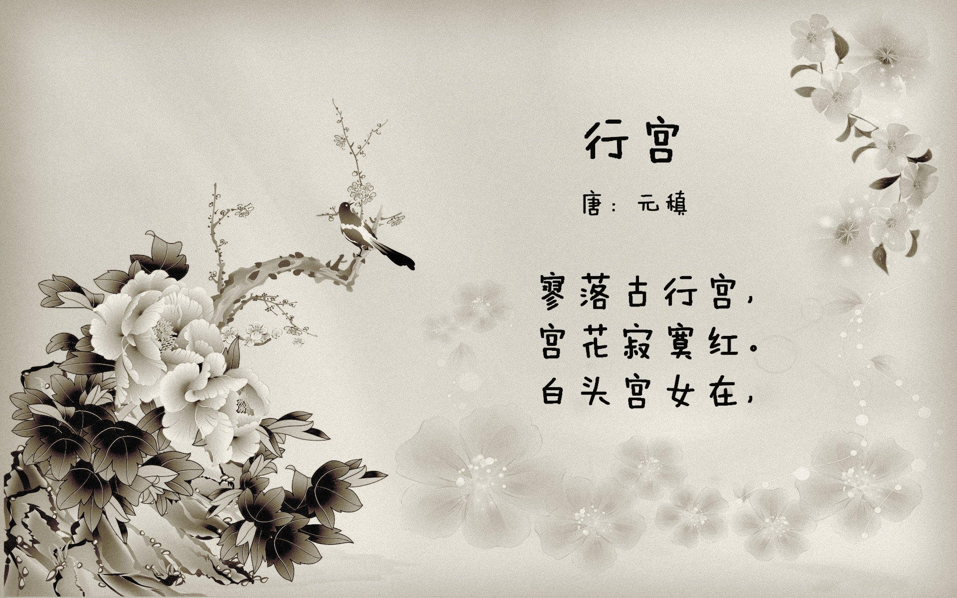 足球双响，金玟哉防守艺术掌控比赛，澳大利亚团队之力力克瑞典