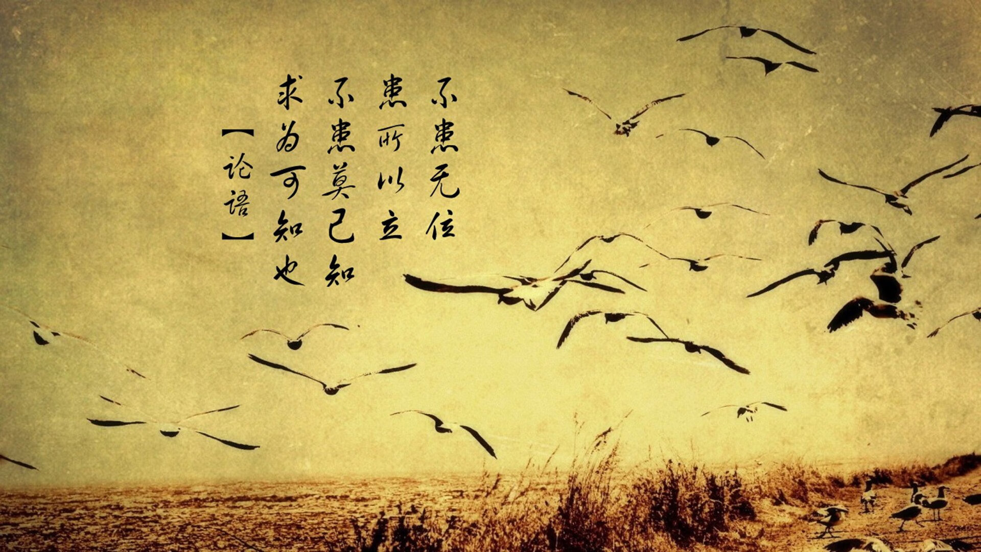 卡马文加扛起全队，塞内加尔对阵巴黎的绿茵史诗