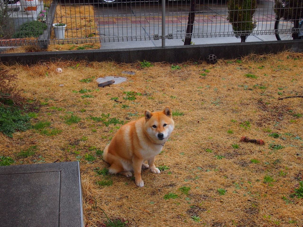 史诗逆转与冰封突破，当西决悬念撞上瑞典硬仗的足球哲学